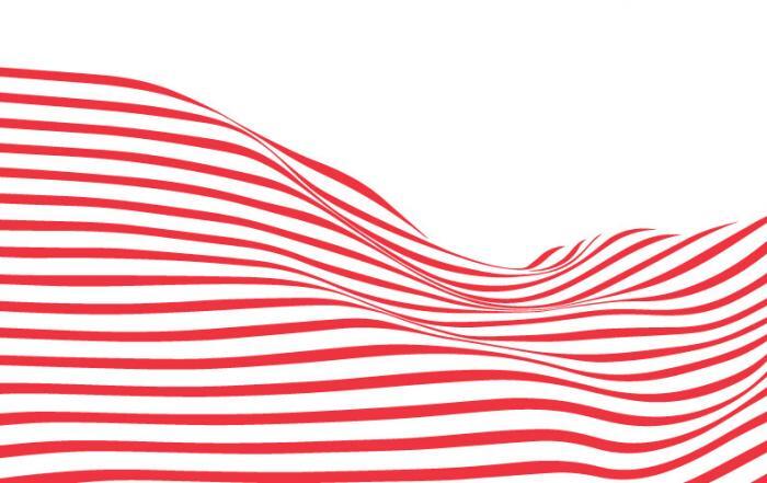 Ensign Flag