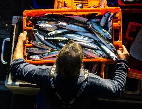 Supporting the maritime industry: Ensign aligns with seafarers’ charity to highlight the value of saving